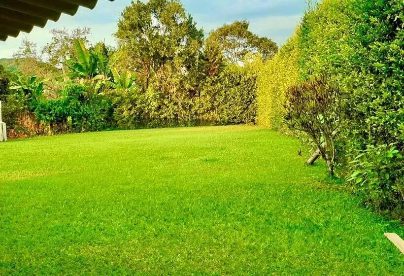 Mountain View Hostel