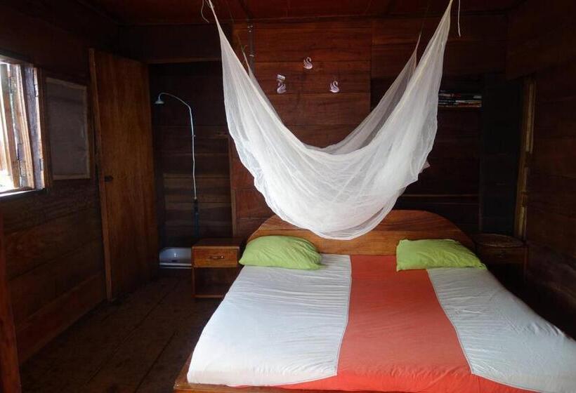 پانسیون Robinson S Hut