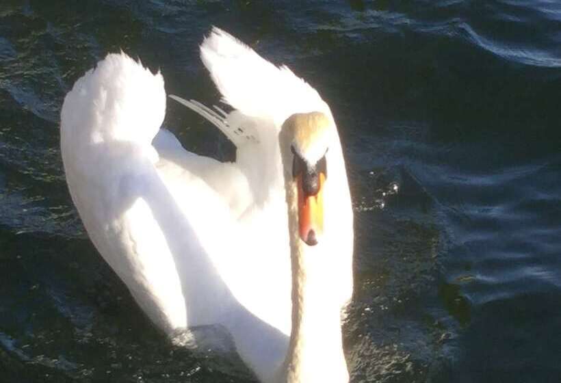 Ajo Vienna Beach   Contactless Check In