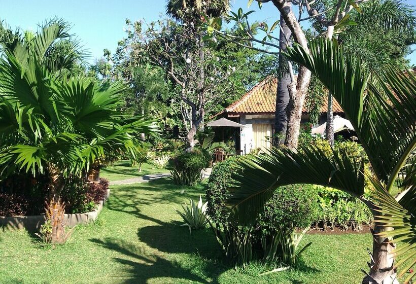 住宿加早餐  Bagus Homestay Pemuteran