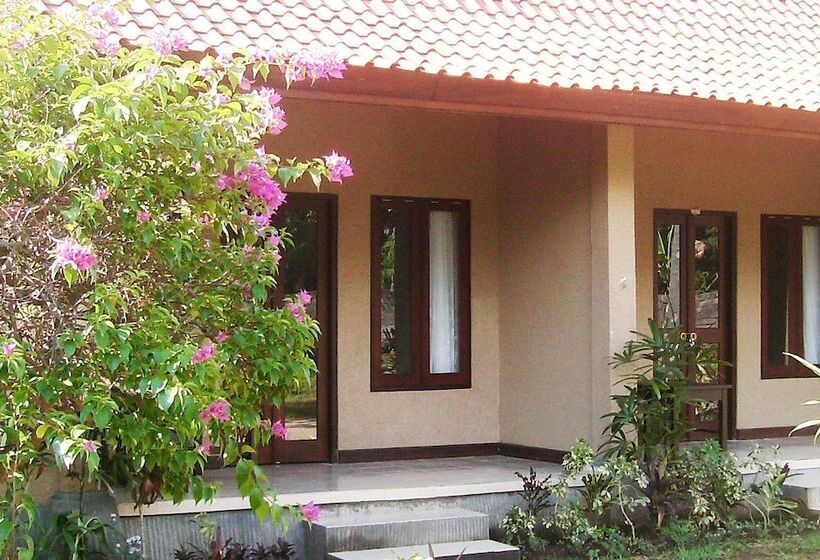 住宿加早餐  Bagus Homestay Pemuteran