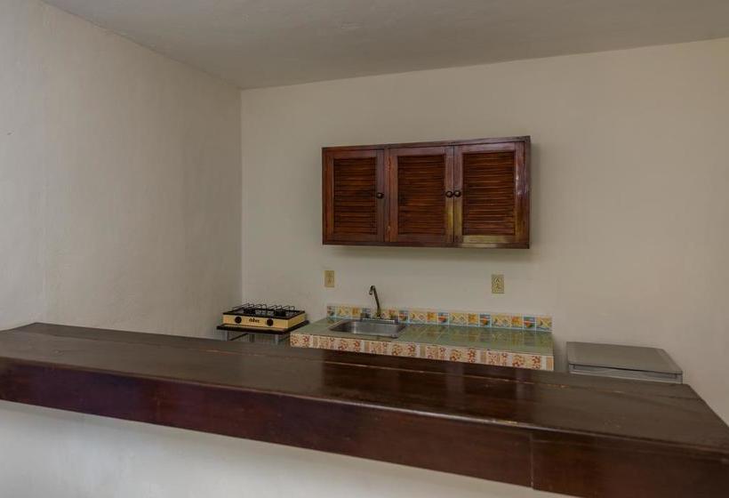 Fotos del hotel Caracol Suite:  10