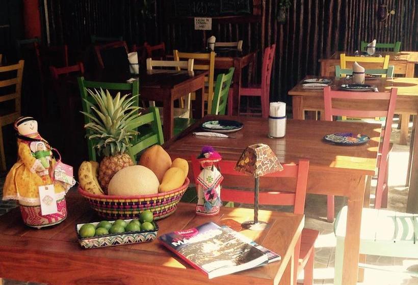 Fotos del hotel Caracol Suite:  9