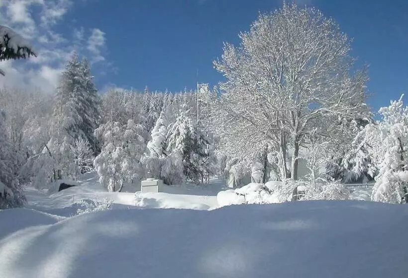 ホテル Logis Hôtel Restaurant Les Cévennes