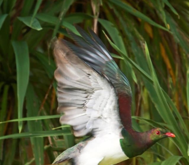 호텔 Villa Russell