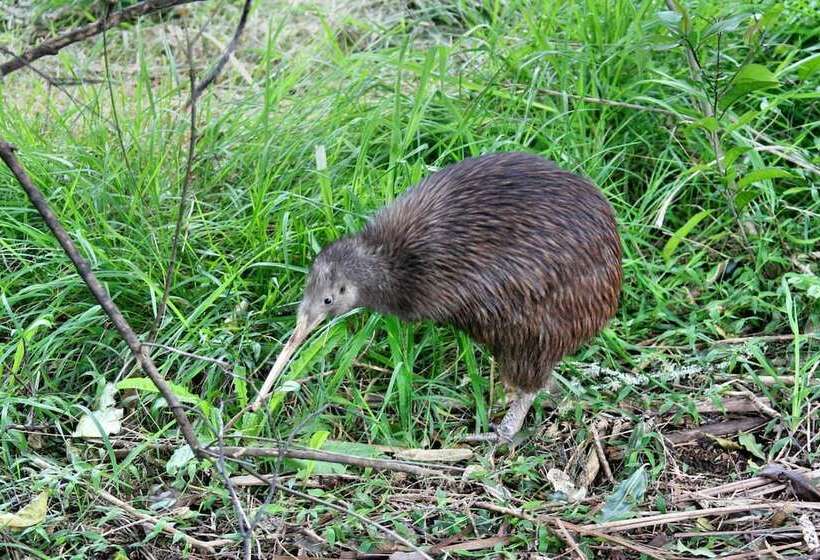 호텔 Villa Russell