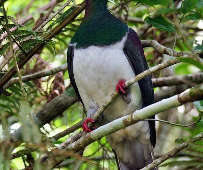 호텔 Villa Russell