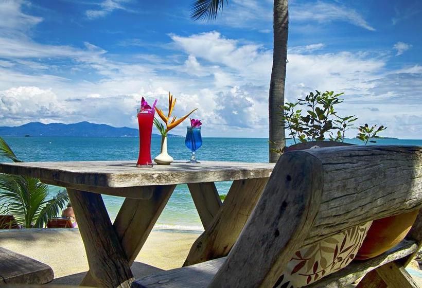 Pensão Cactus Bungalow