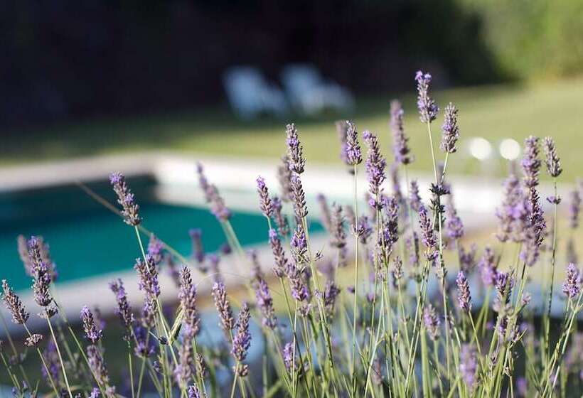 פנסיון La Fauvelle