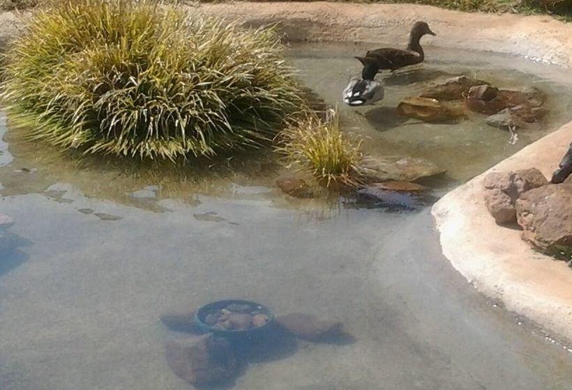 Pension Royal De Swan Guesthouse