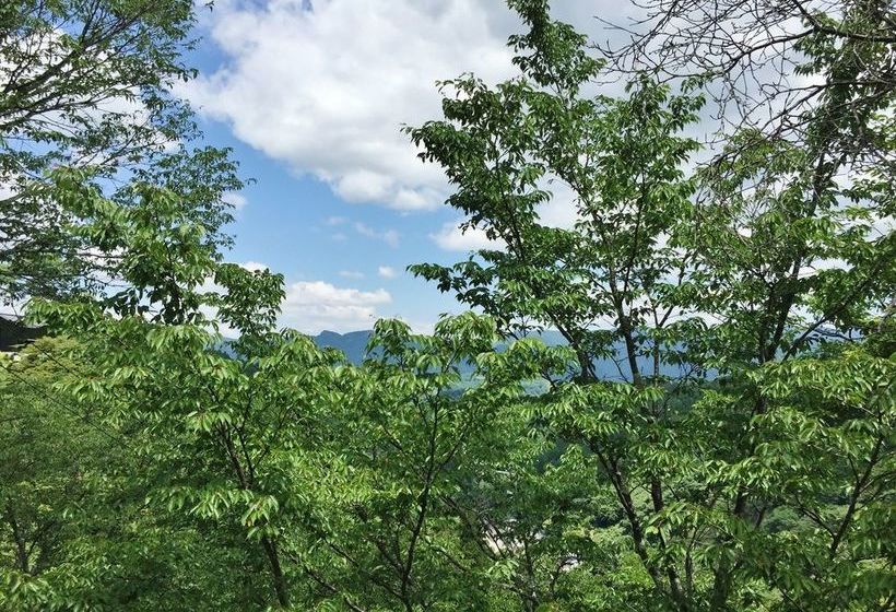 Ryokan Kato   Yoshino