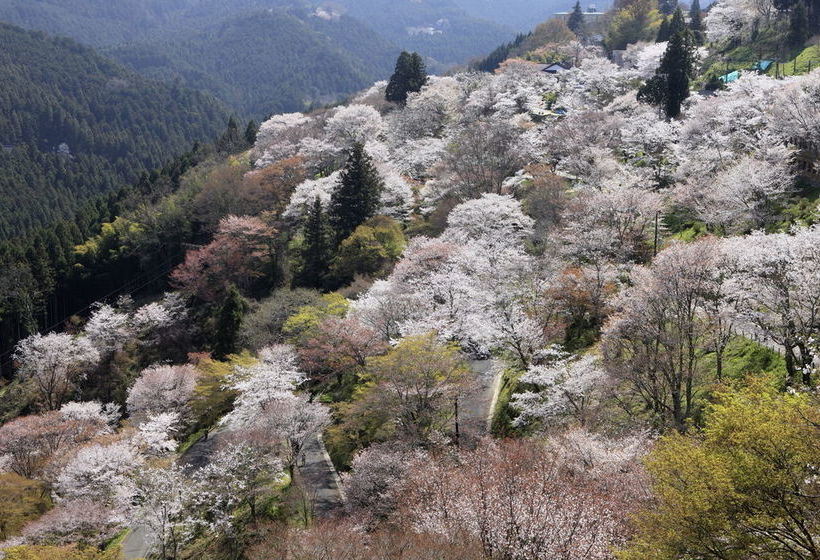 Ryokan Kato   Yoshino
