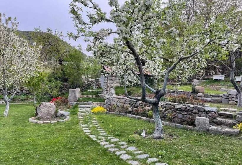 Aamiaismajoitus (B&B) Hin Tun