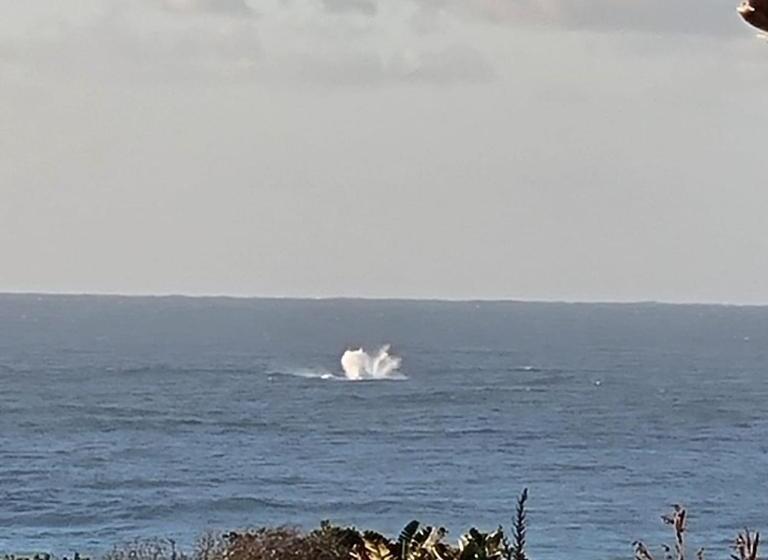 민박 Sophia S Grill & Restaurant