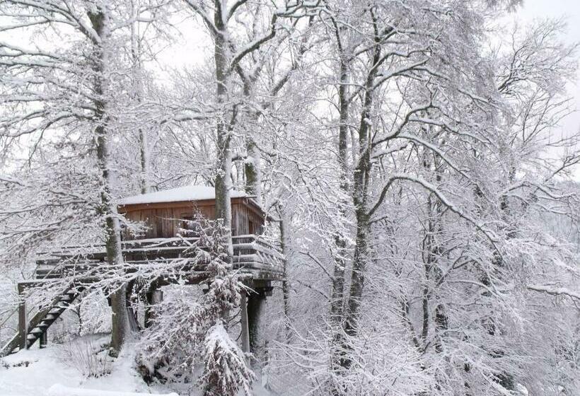 ペンション Cabane Dans Les Arbres Avec Terrasse Et Coin Barbecue, Idéale Pour Des Séjours En Pleine Nature Fr