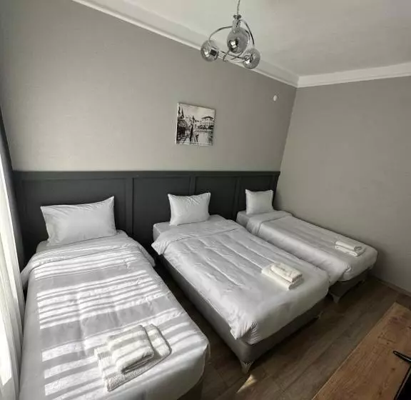 ホテル Deri̇n Buti̇k