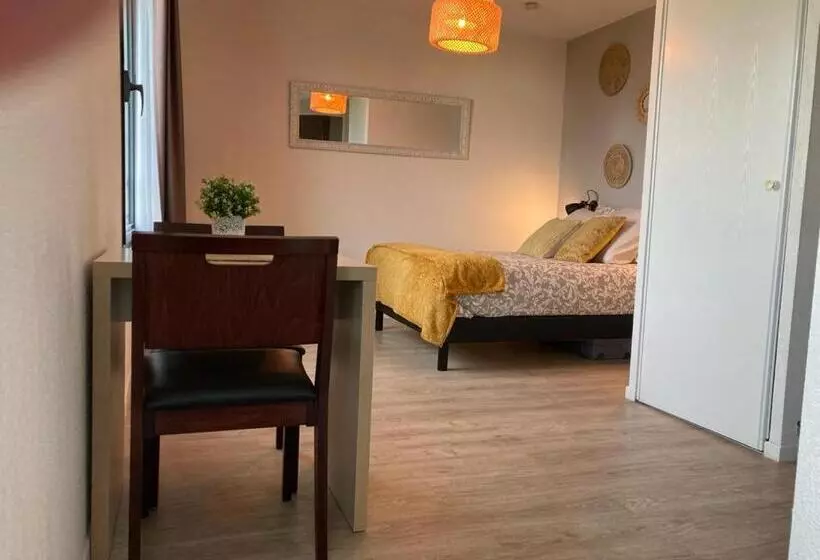 Appart Hotel Avignon Gare Tgv   Le Kaelis 407
