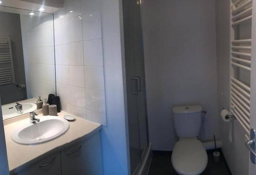 Appart Hotel Avignon Gare Tgv   Le Kaelis 407