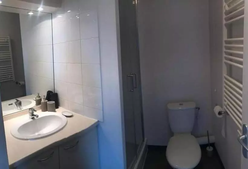 Appart Hotel Avignon Gare Tgv   Le Kaelis 407