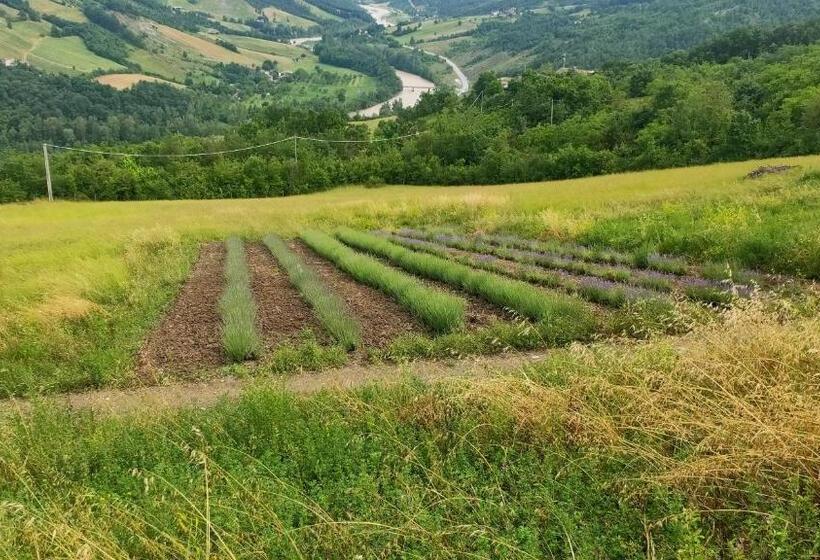 ペンション La Finestra Sul Mondo