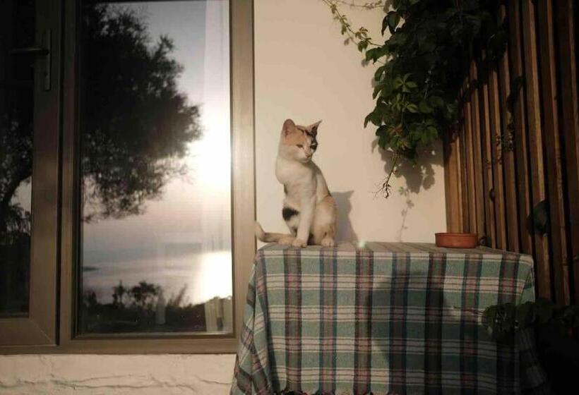 酒店 Furma Eco Farm