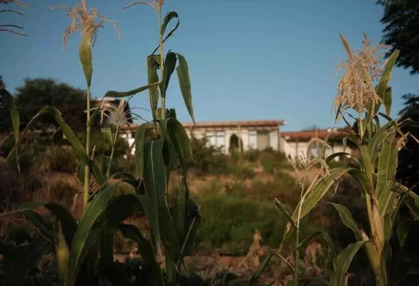 Hotelli Furma Eco Farm