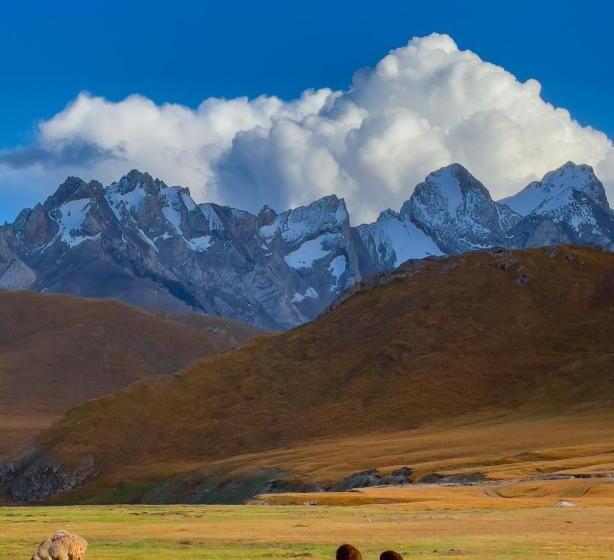 پانسیون Yurt Camp Visit Kol Suu