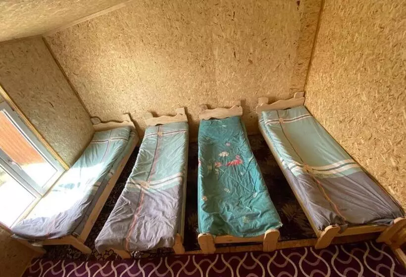 پانسیون Yurt Camp Visit Kol Suu