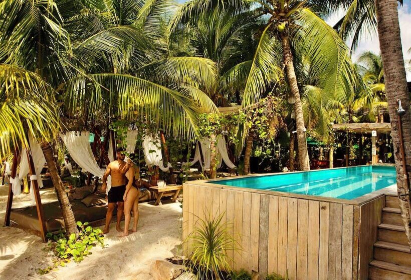 فندق Enigmatic Beach