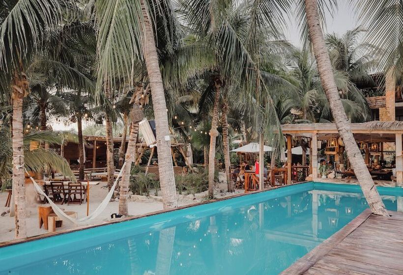 فندق Enigmatic Beach