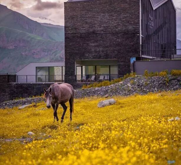 هتل Step Inn   Kazbegi
