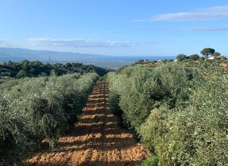 リゾートホテル Tenute Librandi Agriturismo