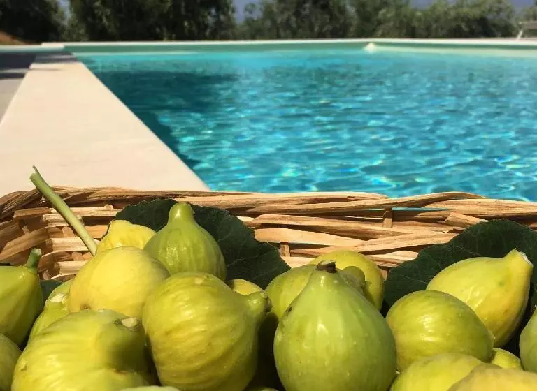 リゾートホテル Tenute Librandi Agriturismo