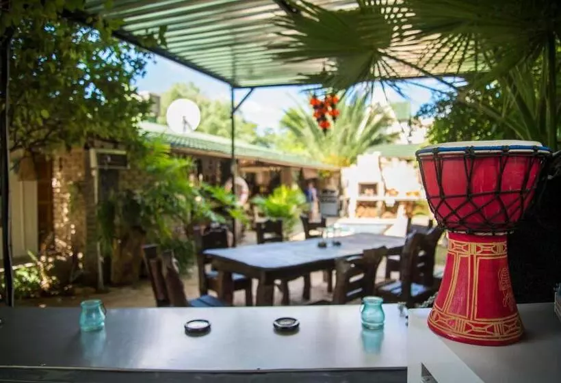 هاستل Tsumeb Backpackers & Safari