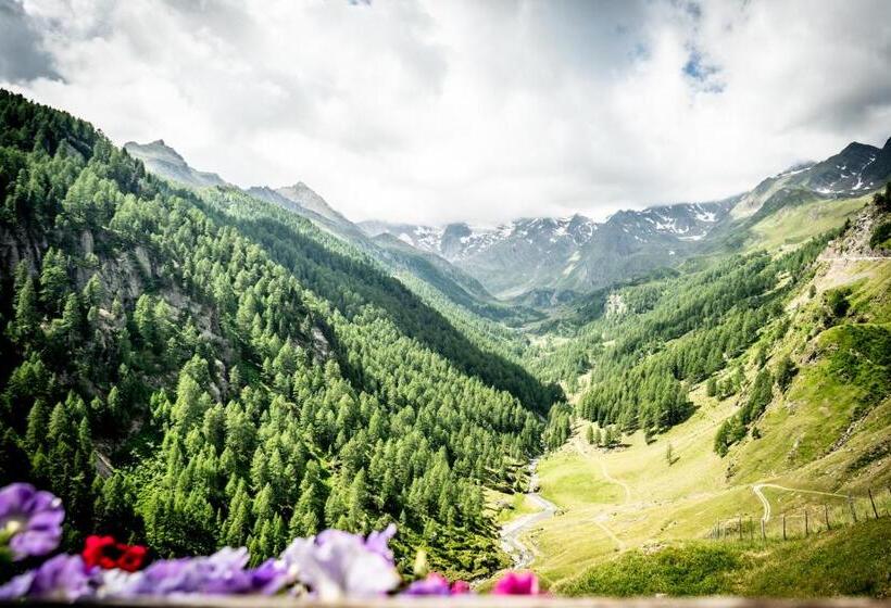 هاستل Gasthof Hochfirst