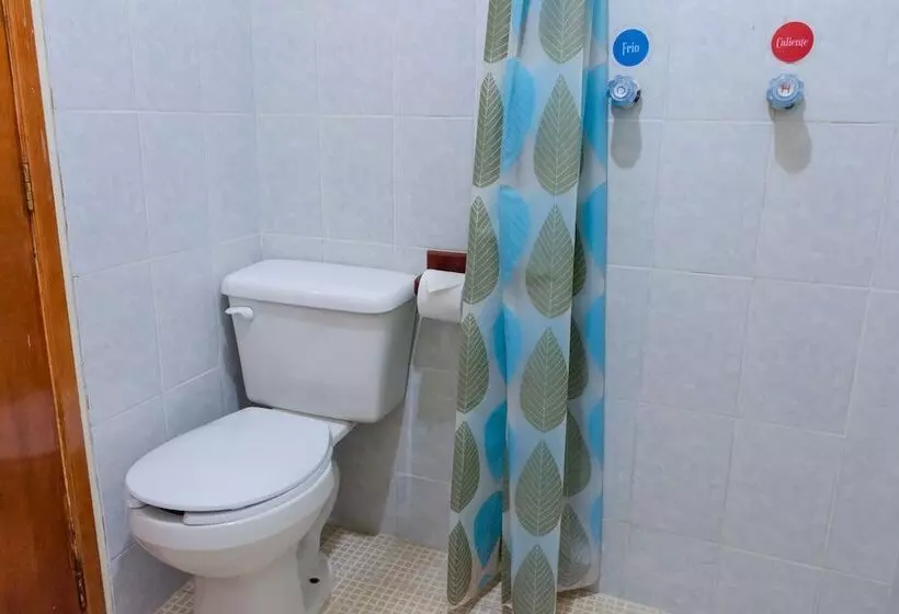 Hotelli Del Parque Naolinco