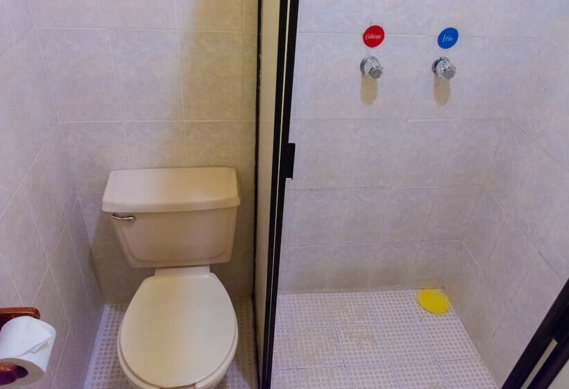 فندق Del Parque Naolinco