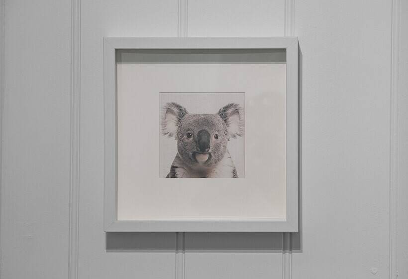 הוסטל Azzurro Pod Hotel Central Sydney