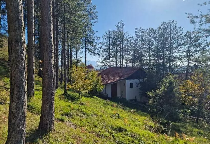 هاستل Bujtinat Skenderi Gjinar