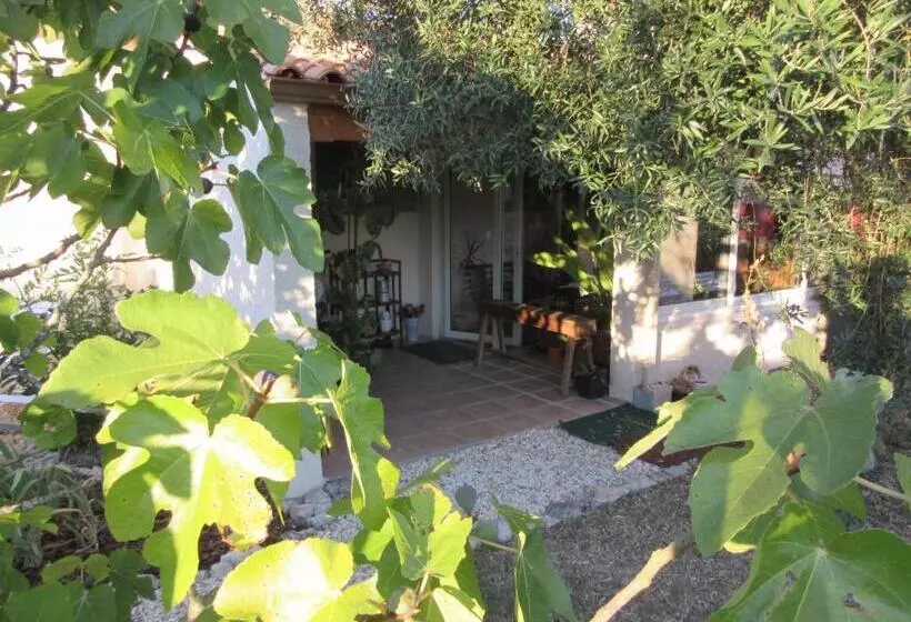 Aamiaismajoitus (B&B) Maranatha