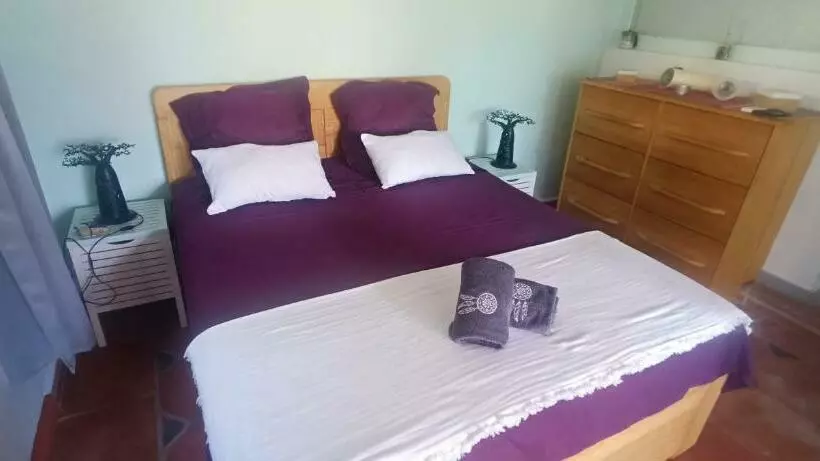 Les Jardins D Agadir