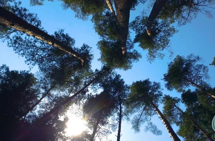 Nunisi Forest Hotel & Spa