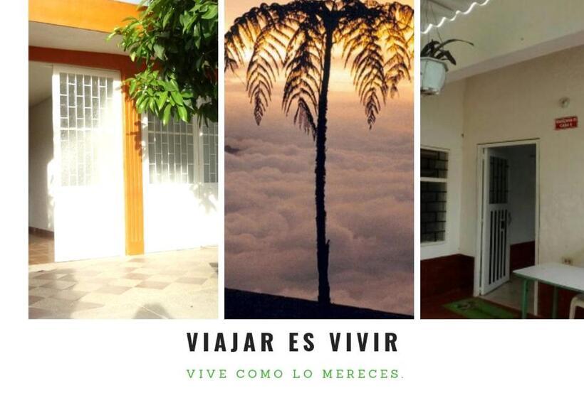 膳宿费 Mandarina Hostal