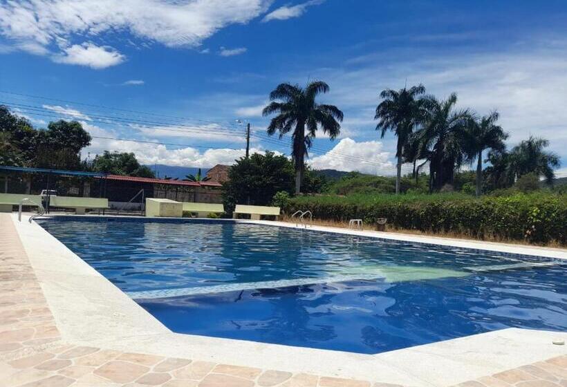 膳宿费 Mandarina Hostal