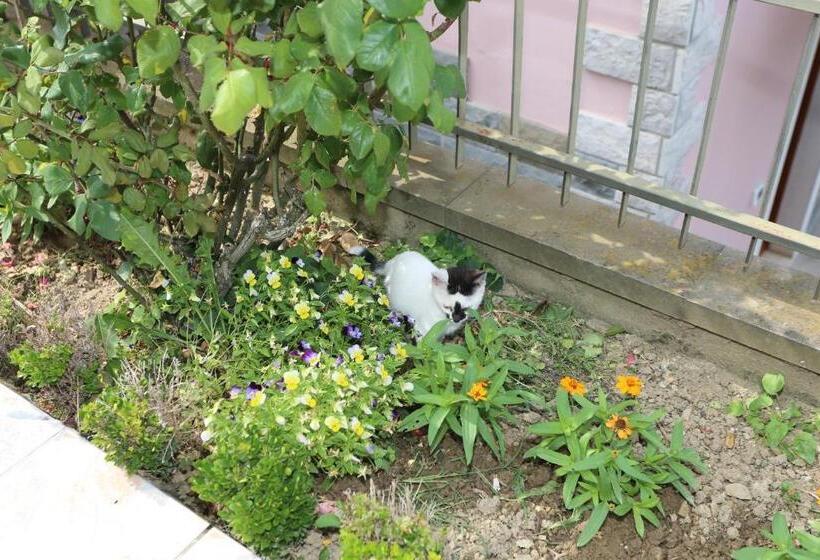 هتل Mejak & Bordon