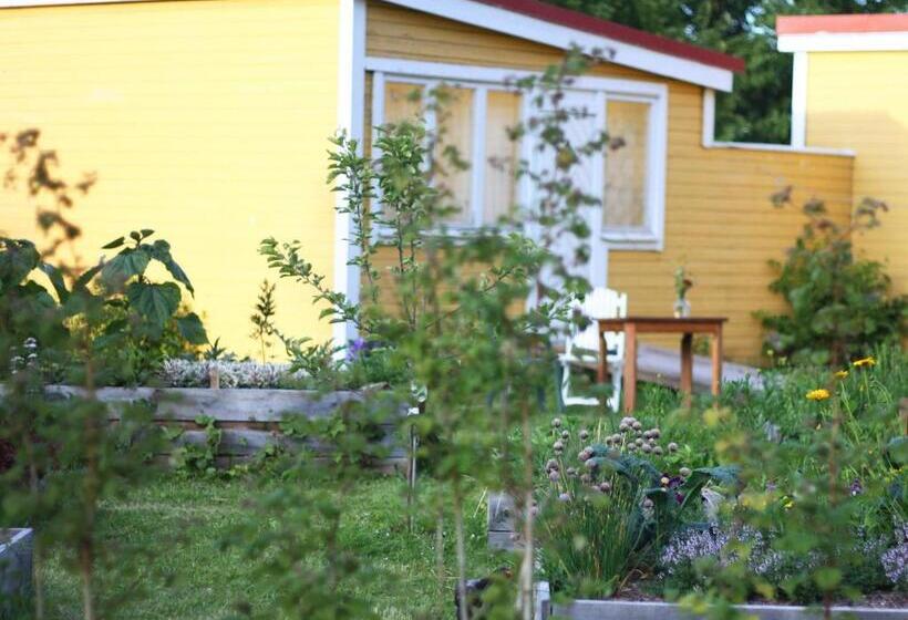 Majatalo Gula Hönan Guest House