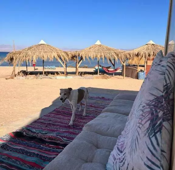 استراحتگاه Abdo Caribbean Camp