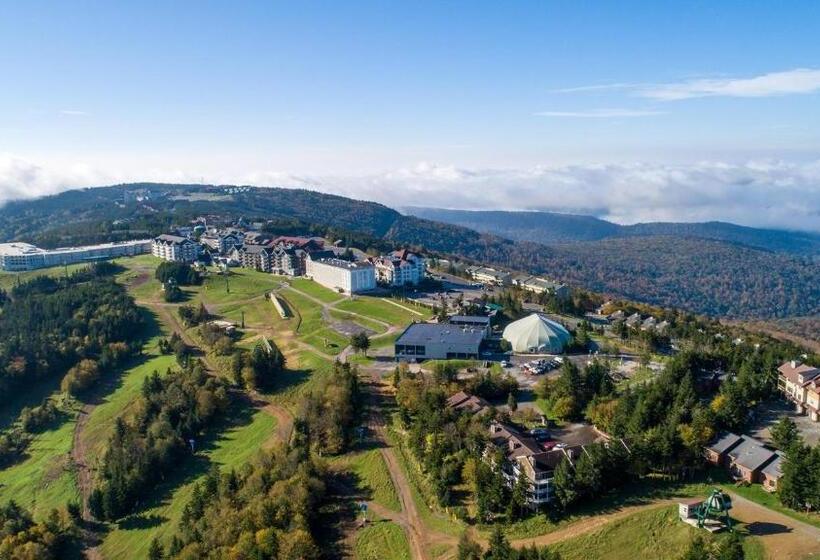 Allegheny Spg   Cozy Condo Ski From Our Patio