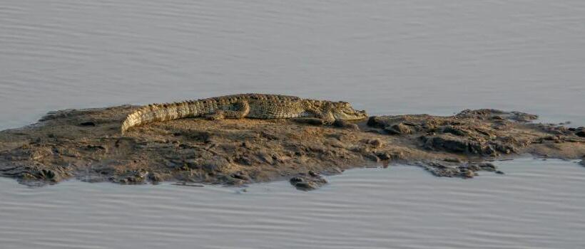 Resort Leopard Reach Yala By Seven Angels