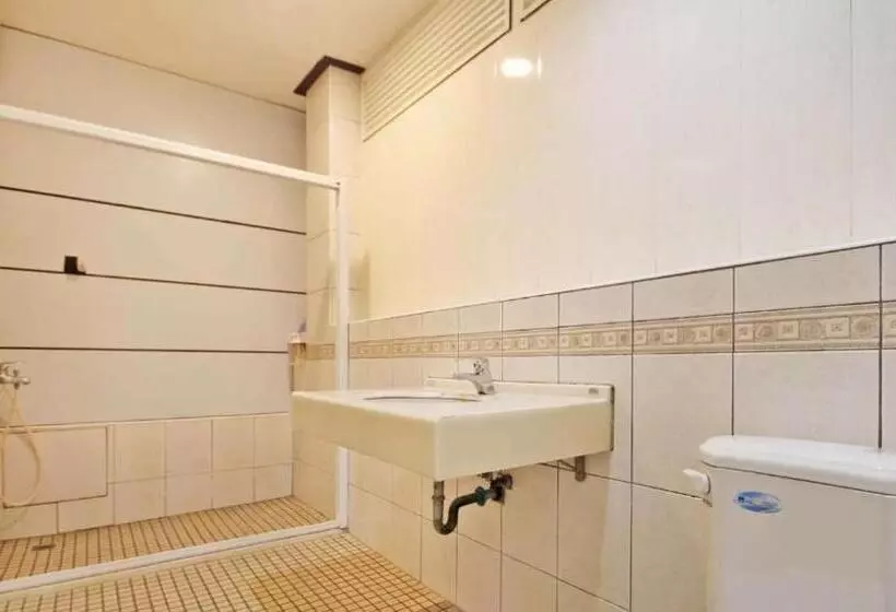 هتل 日月潭  日月住館